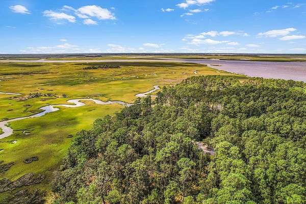 0.84 Acres of Residential Land for Sale in Townsend, Georgia