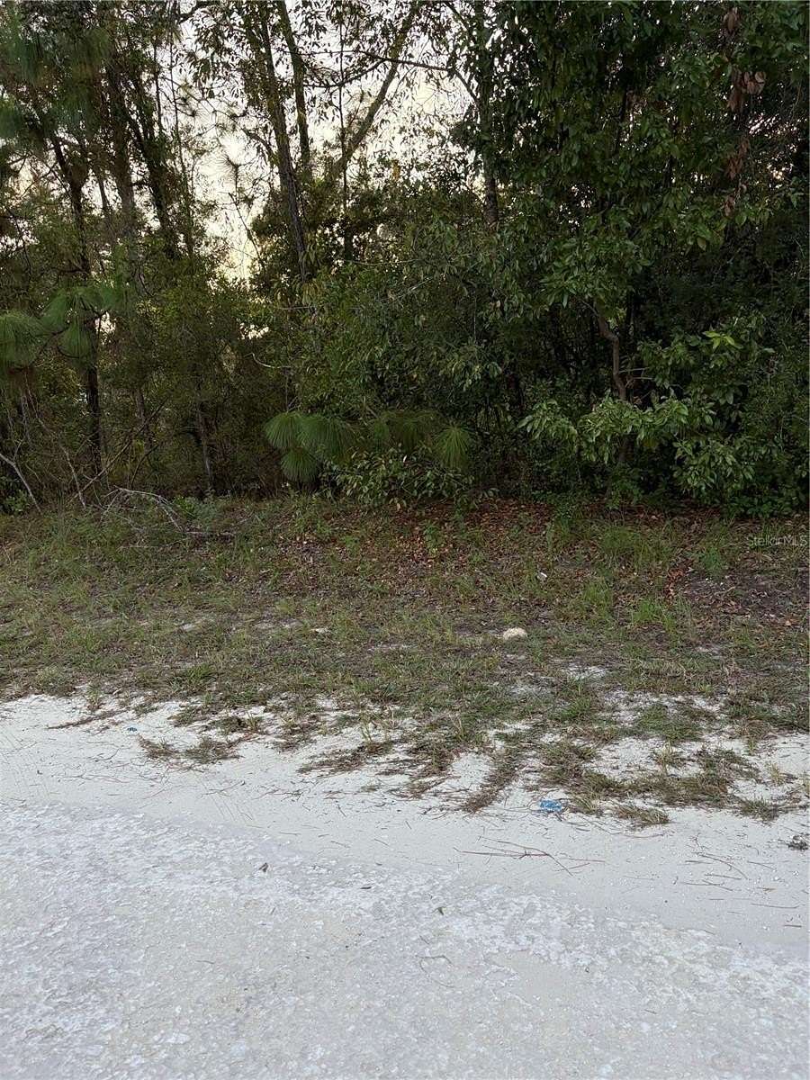 1.25 Acres of Residential Land for Sale in Morriston, Florida