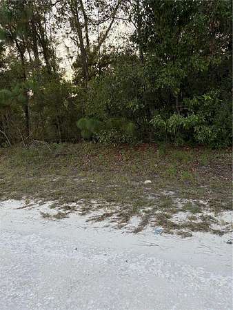 1.25 Acres of Residential Land for Sale in Morriston, Florida