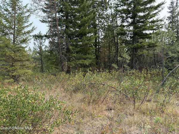 22.9 Acres of Land for Sale in Athol, Idaho