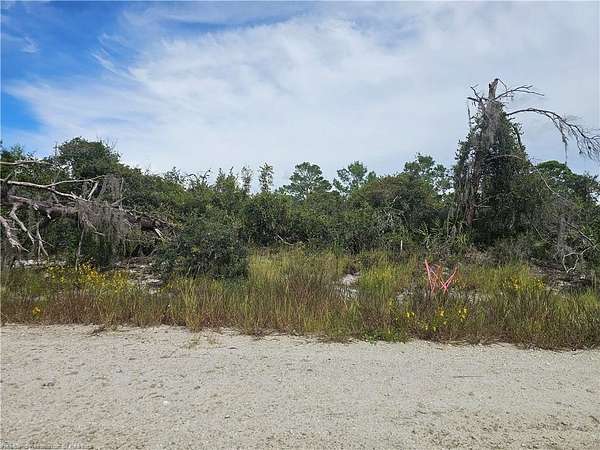 0.26 Acres of Residential Land for Sale in Lake Placid, Florida