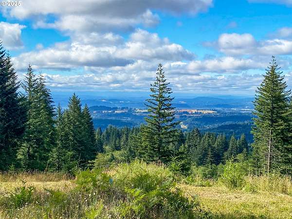 5.48 Acres of Residential Land for Sale in Camas, Washington