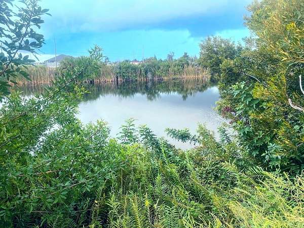 0.24 Acres of Residential Land for Sale in Cape Coral, Florida