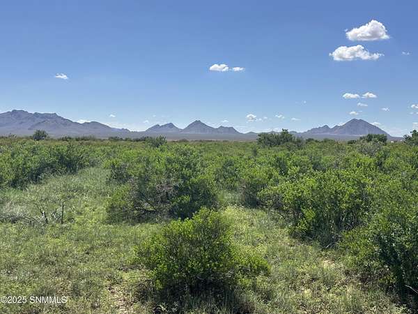 15 Acres of Land for Sale in Las Cruces, New Mexico