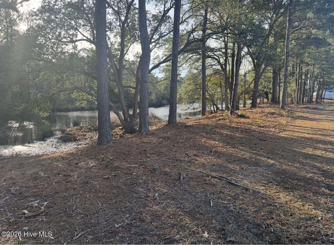 0.59 Acres of Residential Land for Sale in Arapahoe, North Carolina