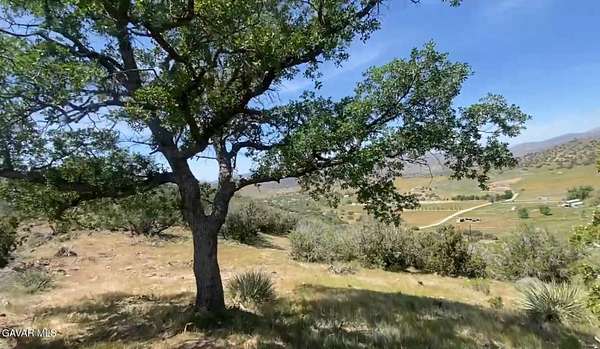 20 Acres of Land for Sale in Caliente, California
