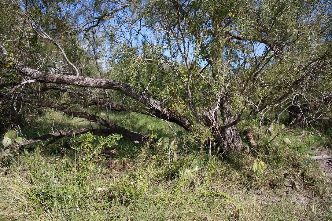 21 Acres of Recreational Land for Sale in Sinton, Texas