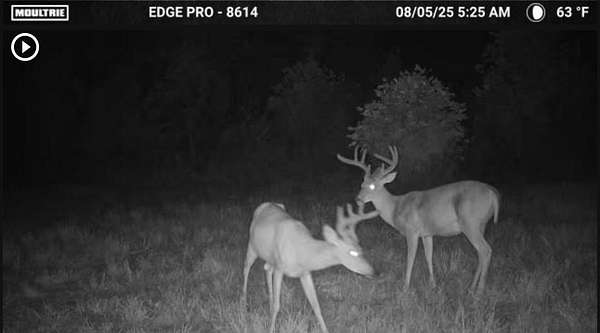 75 Acres of Recreational Land for Sale in West Liberty, Kentucky