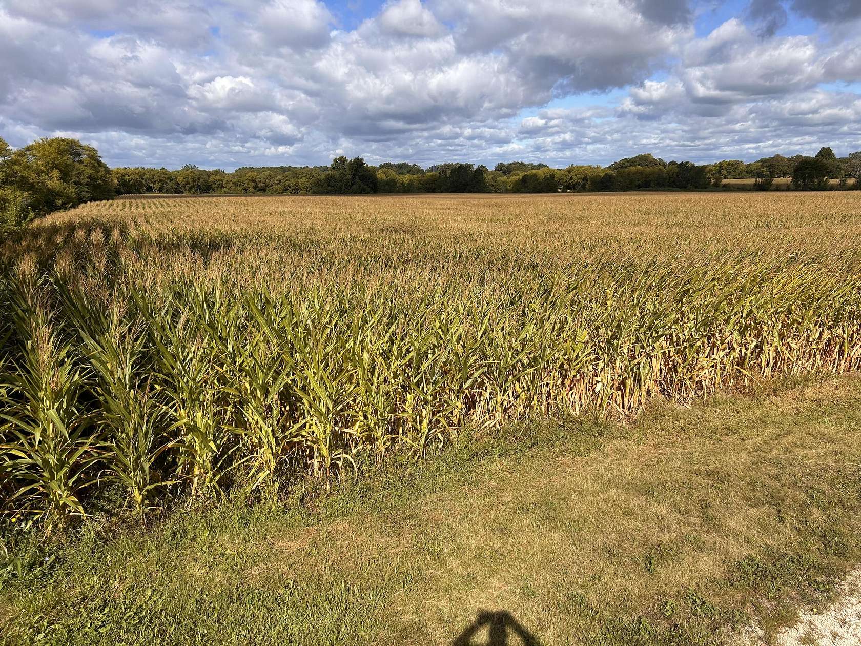 33.6 Acres of Land for Sale in Bristol, Wisconsin