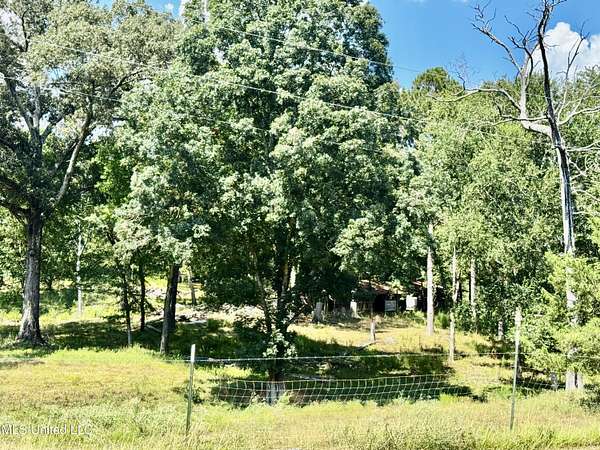 32.2 Acres of Land for Sale in Mendenhall, Mississippi