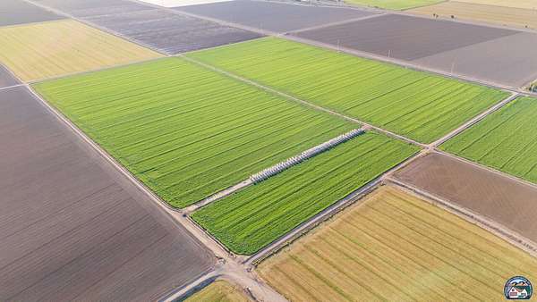 120 Acres of Agricultural Land for Sale in El Centro, California
