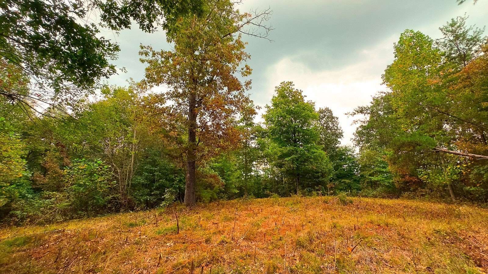 40 Acres of Recreational Land for Sale in Minford, Ohio