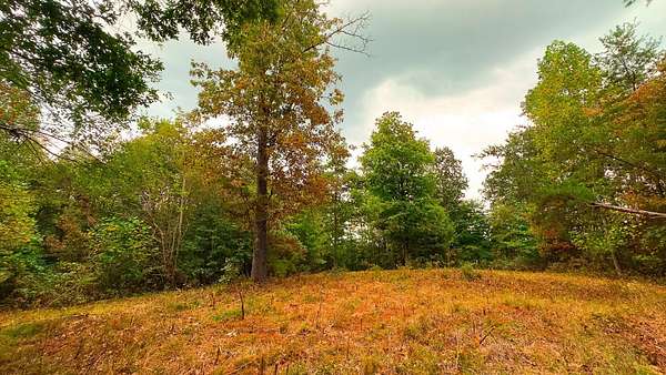 40 Acres of Recreational Land for Sale in Minford, Ohio