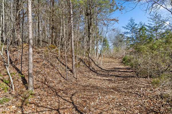 187 Acres of Recreational Land for Sale in Dayton, Tennessee