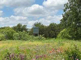 91 Acres of Recreational & Residential Land for Sale in Brownwood, Texas