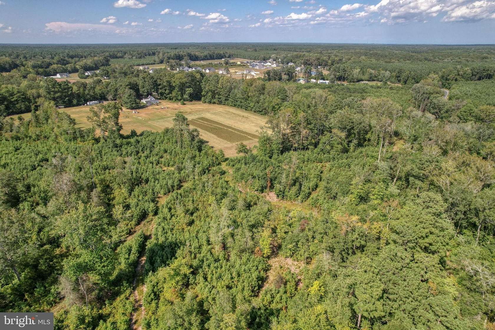 48.9 Acres of Land for Sale in Georgetown, Delaware