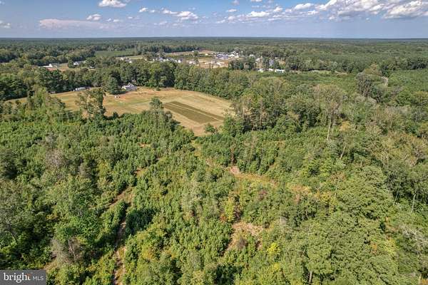 48.9 Acres of Land for Sale in Georgetown, Delaware