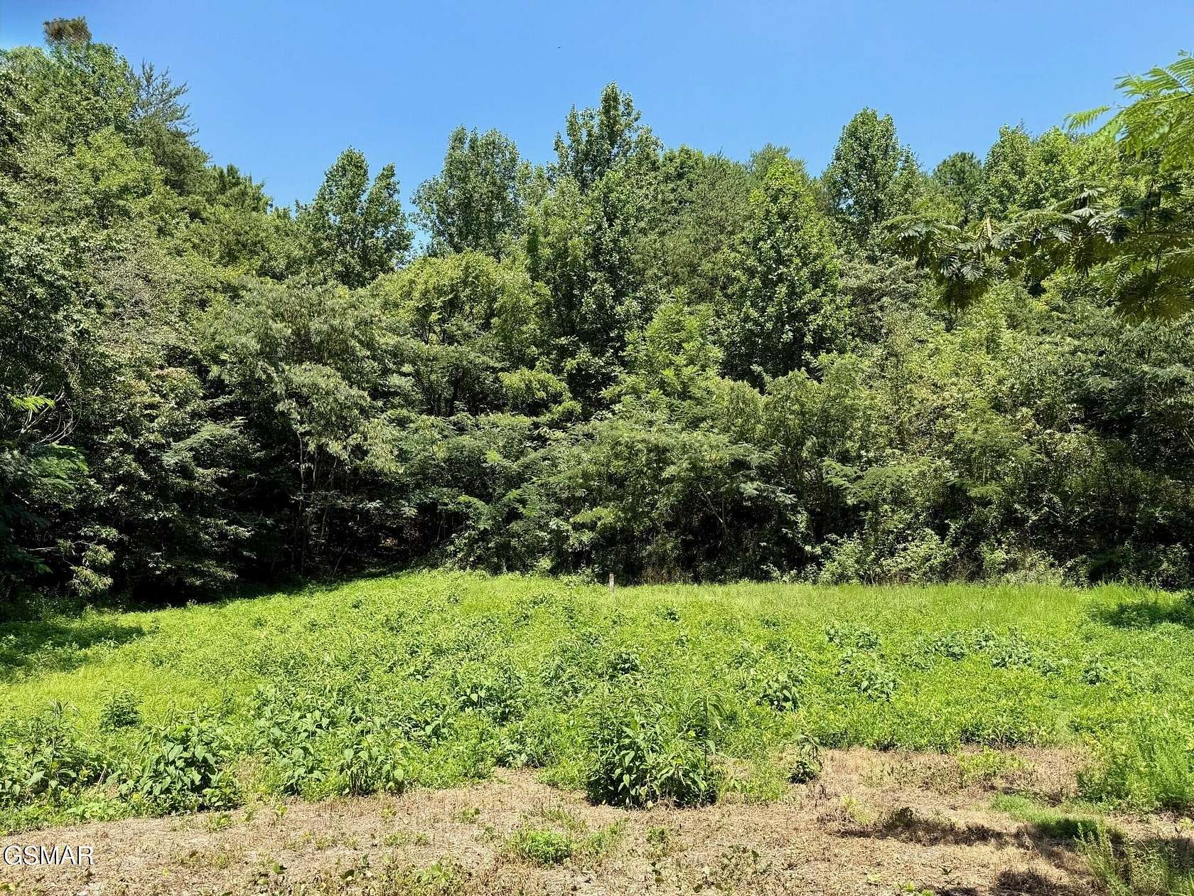 3.87 Acres of Residential Land for Sale in Pigeon Forge, Tennessee
