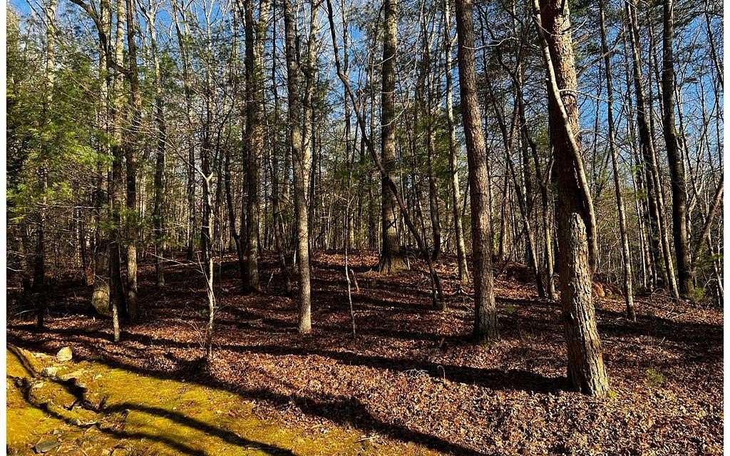 2.4 Acres of Land for Sale in Ellijay, Georgia