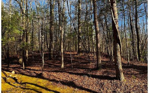 2.4 Acres of Land for Sale in Ellijay, Georgia