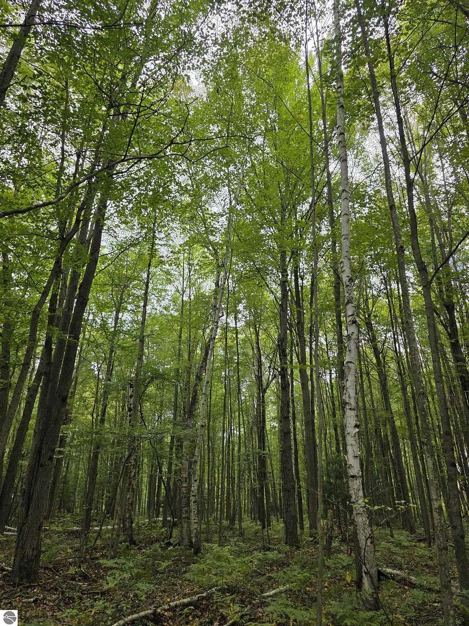 5 Acres of Residential Land for Sale in Mount Pleasant, Michigan