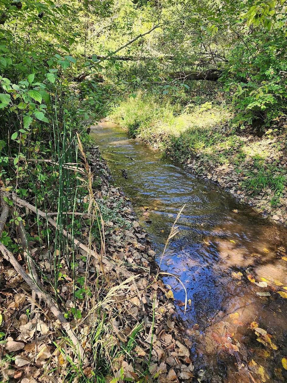 34 Acres of Recreational Land for Sale in Thomson, Illinois