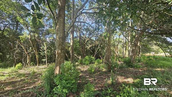 0.54 Acres of Residential Land for Sale in Summerdale, Alabama