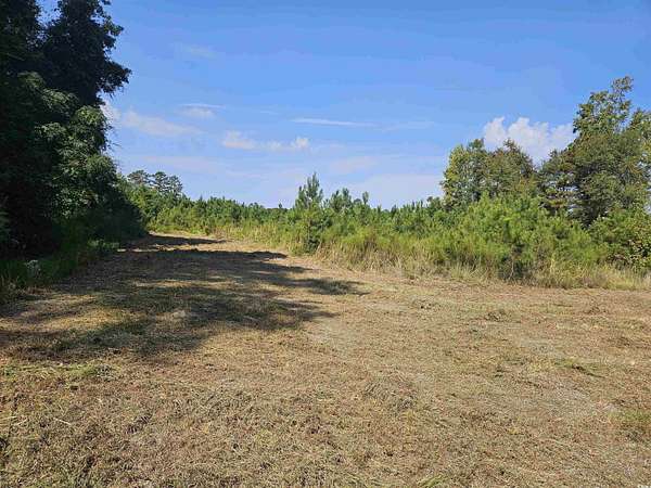 109 Acres of Recreational Land for Sale in Scranton, South Carolina