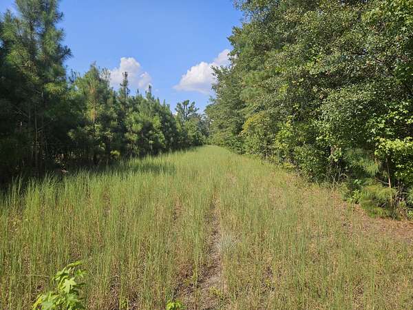 109 Acres of Recreational Land for Sale in Scranton, South Carolina