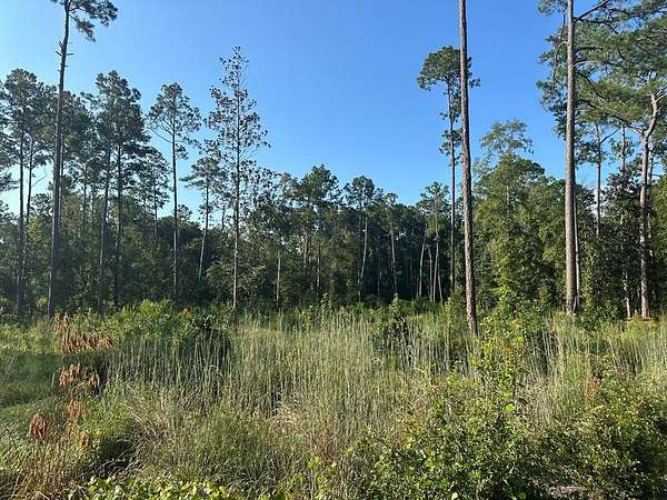 7.82 Acres of Residential Land for Sale in Cairo, Georgia