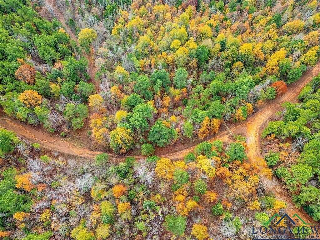 172 Acres of Mixed-Use Land for Sale in Lone Star, Texas