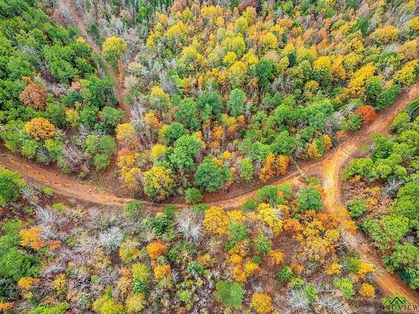 172 Acres of Land for Sale in Lone Star, Texas