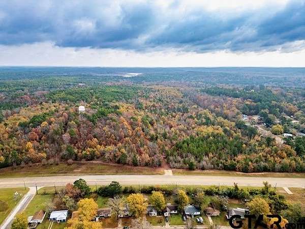 172 Acres of Land for Sale in Lone Star, Texas