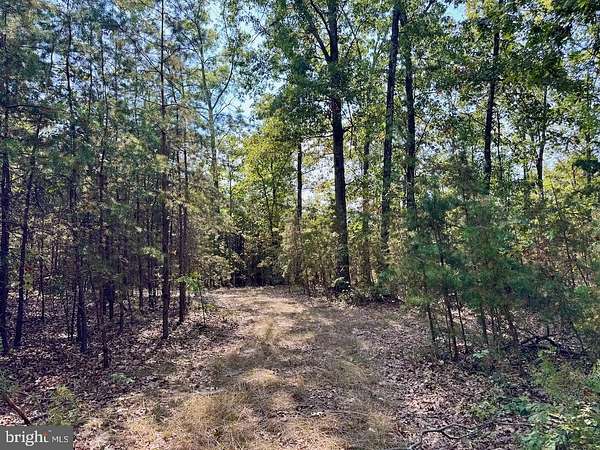 11.2 Acres of Land for Sale in Cross Junction, Virginia