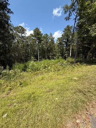 1.68 Acres of Residential Land for Sale in Jasper, Alabama