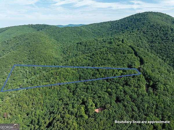 10 Acres of Recreational & Residential Land for Sale in Chatsworth, Georgia