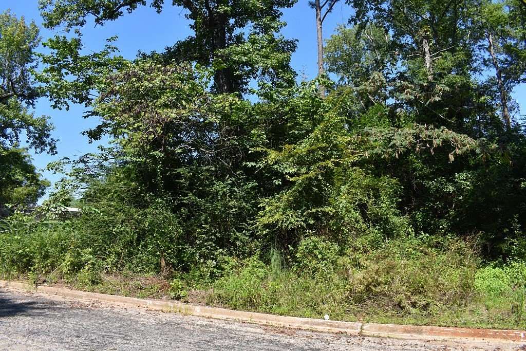 1.3 Acres of Residential Land for Sale in Palestine, Texas