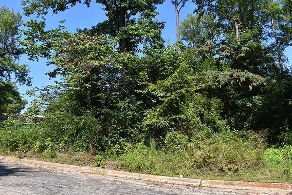 1.3 Acres of Residential Land for Sale in Palestine, Texas