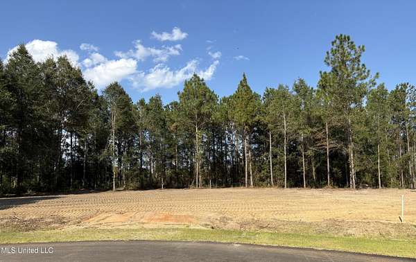 1.72 Acres of Residential Land for Sale in Lucedale, Mississippi