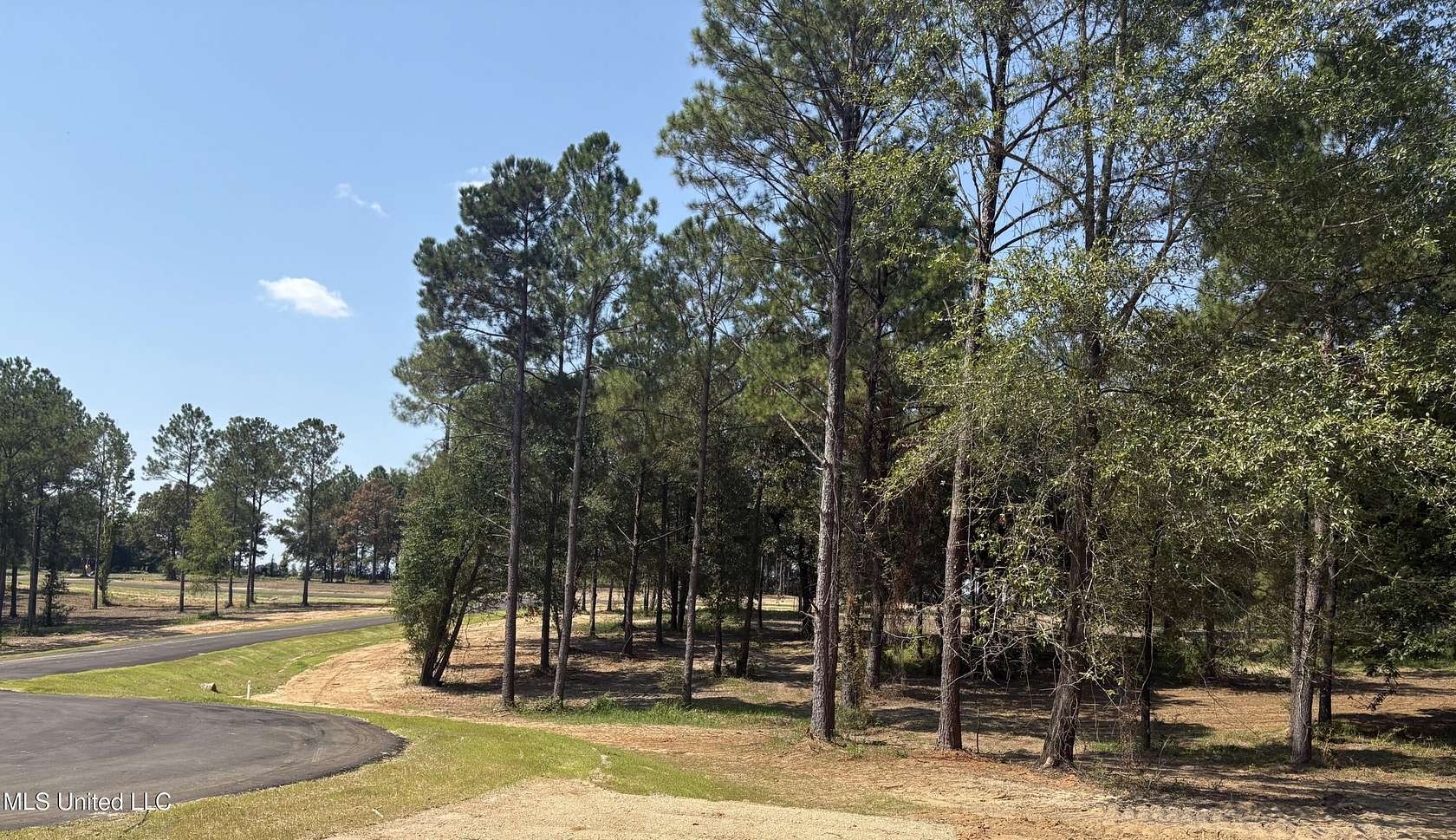 1 Acre of Residential Land for Sale in Lucedale, Mississippi