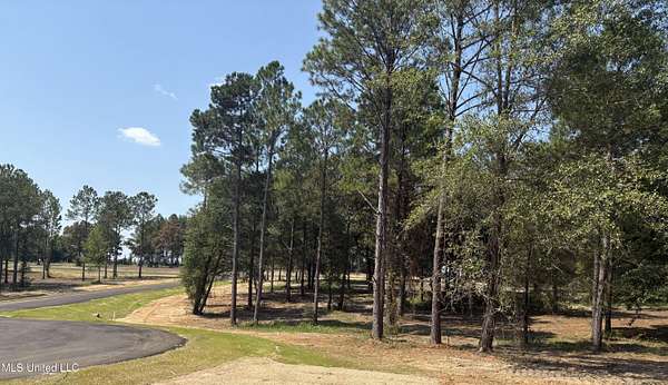 1 Acre of Residential Land for Sale in Lucedale, Mississippi