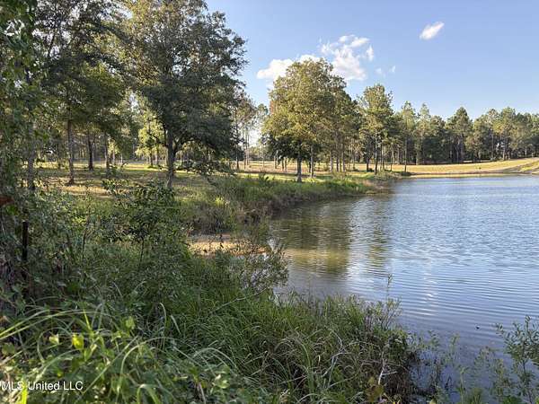 1.55 Acres of Residential Land for Sale in Lucedale, Mississippi