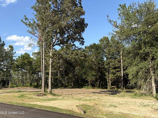 1 Acre of Residential Land for Sale in Lucedale, Mississippi