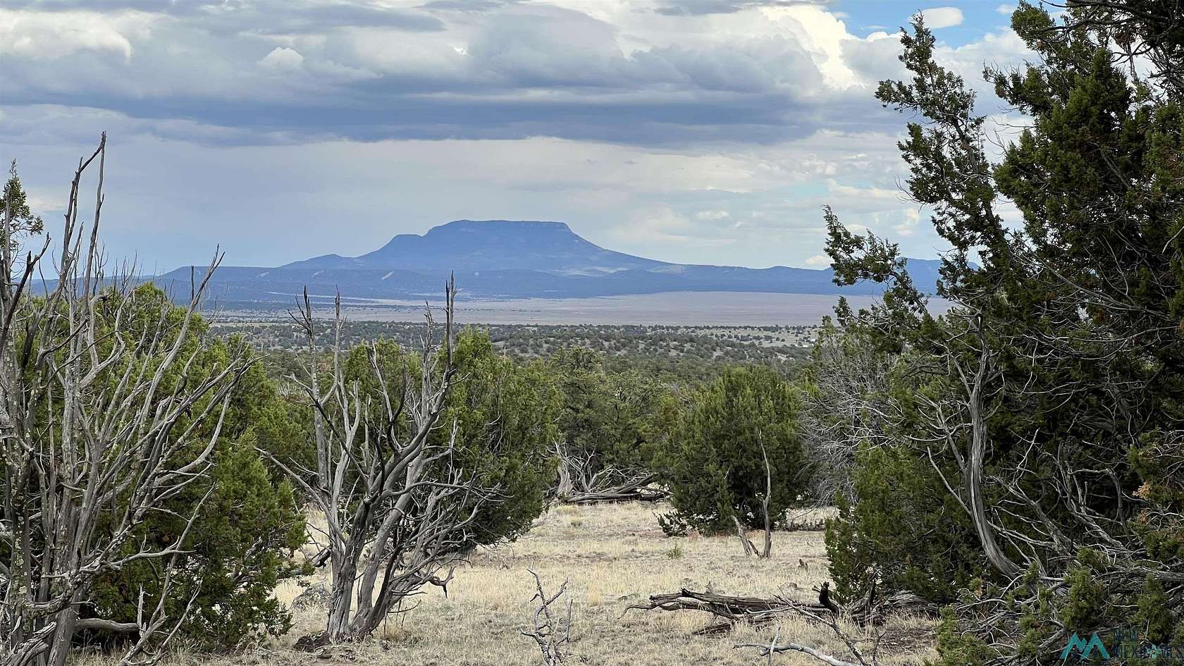 12.9 Acres of Land for Sale in Quemado, New Mexico
