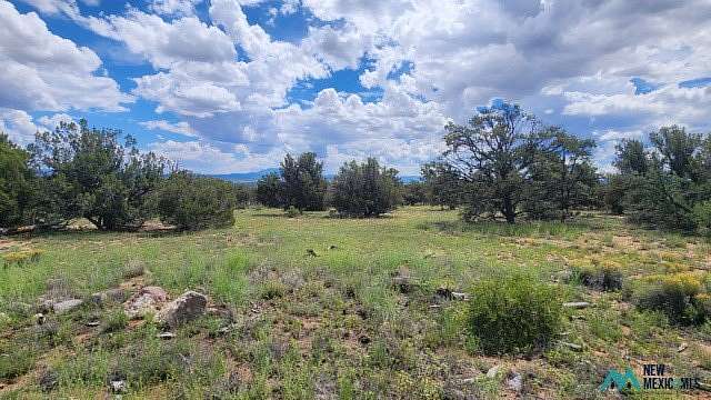 12.9 Acres of Land for Sale in Quemado, New Mexico