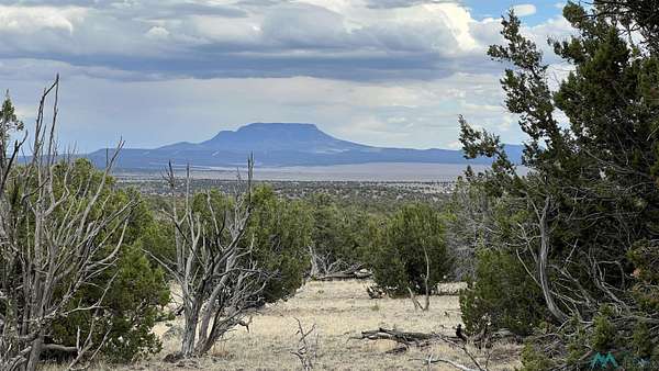 12.9 Acres of Land for Sale in Quemado, New Mexico
