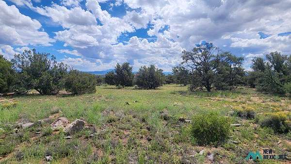 12.9 Acres of Land for Sale in Quemado, New Mexico