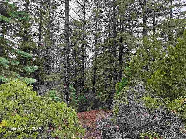 1.4 Acres of Land for Sale in Mount Shasta, California