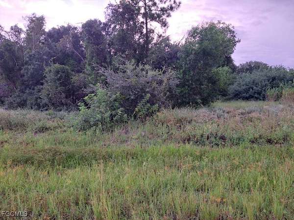 0.29 Acres of Land for Sale in Lehigh Acres, Florida