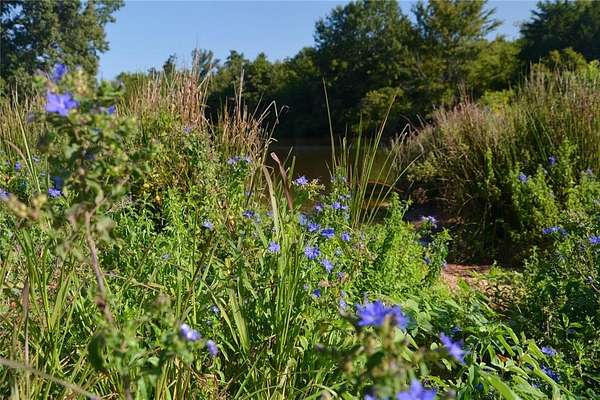 40.5 Acres of Land for Sale in Grand Saline, Texas